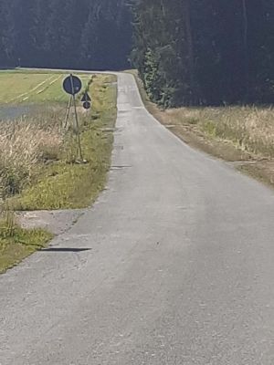 Großer Kornberg | Juni 2026